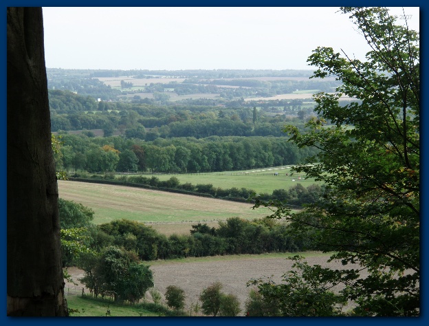 600x449 pixels (142K)